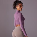 Mesh Long Sleeve Cropped Top with Built-in Bra